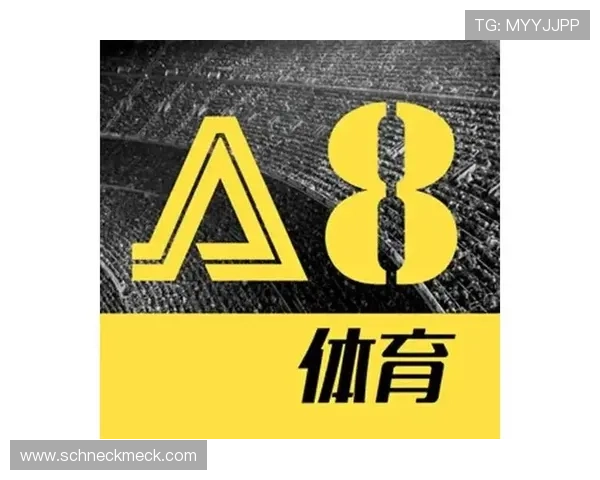 a8体育电脑版常见问题与解决方案，帮助用户排除使用中的各种困扰